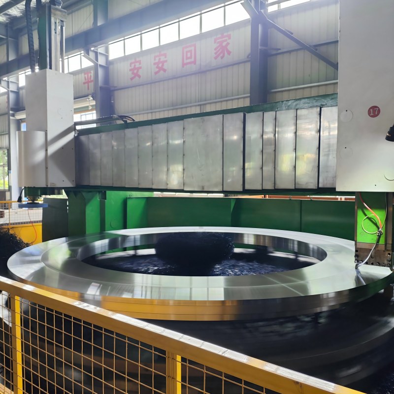 Slewing ring gear with external gear